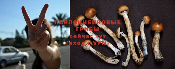 МДПВ Арсеньев