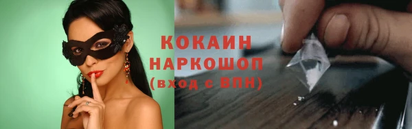трава Аркадак