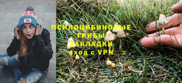 трава Аркадак